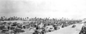 Cars on Biscayne Boulevard.