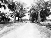 Highway entering Milton, Florida