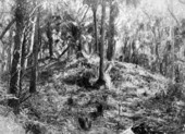 Indian mound at De Leon Springs