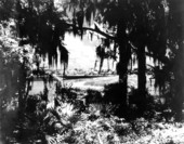 Pippins Lake.