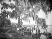 Picnic at Orange Lake
