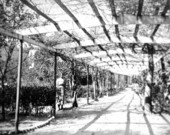 Garden walk at Colonel H. L. Hart's home