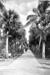 Sidewalk of Royal Poinciana Hotel