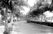 Lake Drive at the Everglades Club.