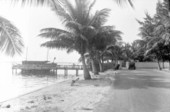 Lake Drive south.