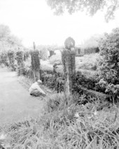 View of informal garden at the DeEtte Holden Cummer Home