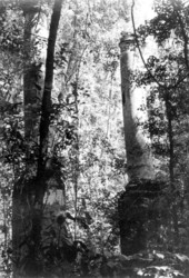 Ruins at Vedura Plantation - Leon County, Florida