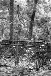 Ruins at Vedura Plantation - Leon County, Florida.