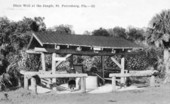 Dixie Well at the jungle : Saint Petersburg, Florida