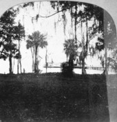 Steamboat landing : Sanford, Florida.