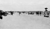 Sarasota Beach.