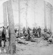 Rough Riders - Tampa, Florida.
