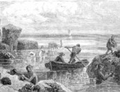 Men sponging near Key West