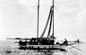 Sponge boat from Perry