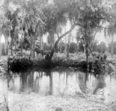 Green Springs - Enterprise, Florida