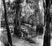 Manatee Springs State Park on the Suwannee River