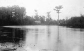 View of Silver Springs