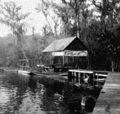 Dock : Silver Springs, Florida
