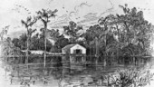 Silver Springs