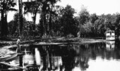 Fishing in the springs - Silver Springs, Florida