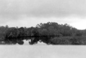 Pellicer Creek in Faver-Dykes State Park