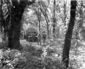 On the set during filming of Tarzan movie.