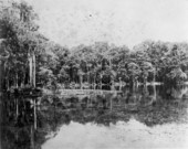 Wakulla Springs