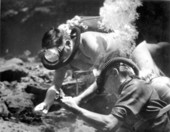 Scuba divers recovering mastodon bones from Wakulla Springs