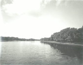 View of the river : Myakka City, Florida
