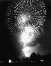 Tom Brown park on the Fourth of July : Tallahassee, Florida
