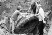 Removal of old city well cap : Tallahassee, Florida.