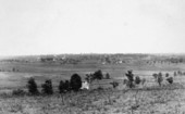 Landscape view of Tallahassee from the west.