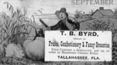 Advertisement for T. B. Byrd's fancy grocery store