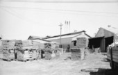 Elberta Crate & Box Company - Tallahassee, Florida.