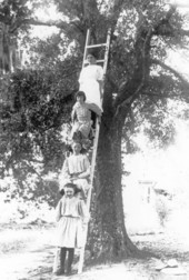 Girls on a ladder - Tallahassee, Florida.