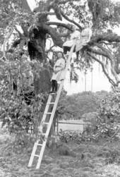 Girls out on a limb - Tallahassee, Florida.