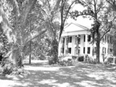The Grove - Tallahassee, Florida.