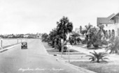 Bayshore Drive - Tampa, Florida.