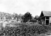 View across De Leon springs