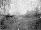 Keith Graham clearing his land for homestead and steam grist mill
