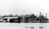 Lumber mill on the shore