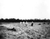 Land being cleared in South Farm - Okaloosa County, Florida