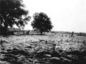 80 acres newly cleared at South Farm - Okaloosa County, Florida