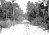 Road, fence and bridge built by CCC workers - O'Leno State Park, Florida