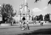 Cinderella's castle at Disney World - Orlando, Florida.