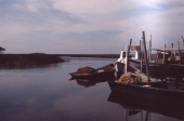 Fishing boat traveling on Spring Warrior Creek - Taylor County, Florida