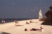 Sunbathers enjoying the day at the beach - Naples, Florida.