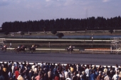 Crowds watching a horse race at the Calder Race Course - Miami, Florida.