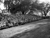Part of the crowd attending May Day celebration in Lewis Park - Tallahassee, Florida.