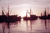 Fleet of shrimp boats as the sun sets over the Keys - Key West, Florida.